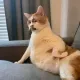meowwweee