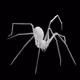 anansi_eth