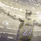 mamba2424