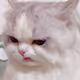 0x8b249edb44f8233fe734edfa9958b024ce869dab