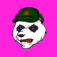 RedStarPandaGANG
