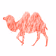 EatMeatSaveTheCamel