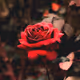 NoName_NFTs_