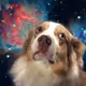 Astral_Shepherd