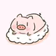 lens.pigcanfly.eth