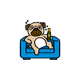 DrunkPug