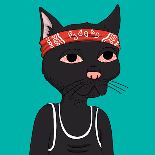 OpenSea profile picture for @Mahatma