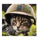 Brownfix