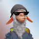 ShepherdsDogg