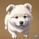 MizziNFT_Owner