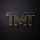 The_Money_Team