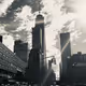 Palms1020