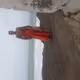 krishna68523