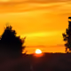 Knockout77