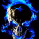Avid_Collector_NFT