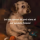 0x8c3ae1d7a57d7577b3e6432916c3bf3ea2f8ac11