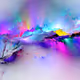 OxArtCollector