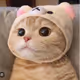 0x8c7b72e87891fc3cd11093ac3683407189d56a43