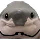 O_Q1