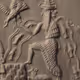 nefer81