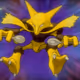 DarkAlakazam