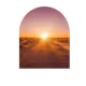 GoldenCactus8
