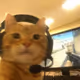 mitubaby