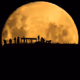 theArtOfNight