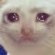 dedovded5