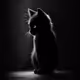 Dark_0ni