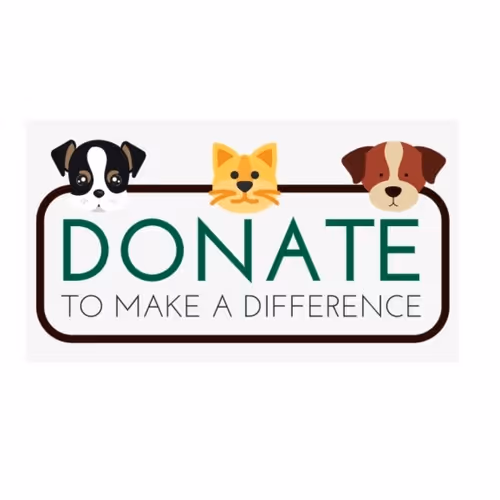 OpenSea banner for @Rescues