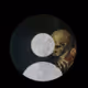 rikielarandi