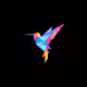 PXLBRD