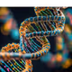 dna-aus1