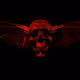 PyDragon_X