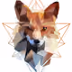 snoobyfox