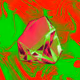 0xcamaru