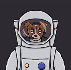 OpenSea profile picture for @cavaliers