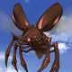 HUNDRED-EYES-BEETLE