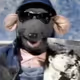 jono