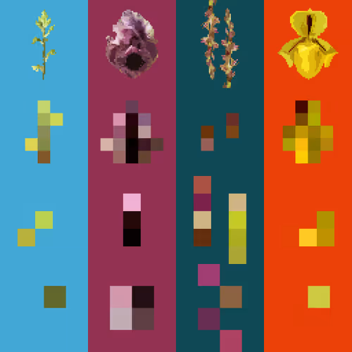 OpenSea banner for @mze