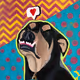 CrypoDog