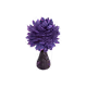 ermia