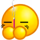 tpdongha