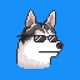 TheHuskyPack