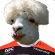 Spotty-Goat