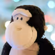 CHIMPMAXXX