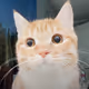 HMMD