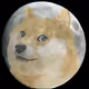 _NFTsAreTheFuture_