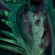 falsehead